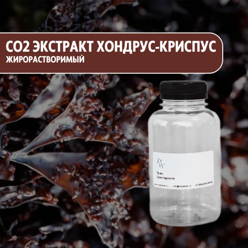 CO2 экстракт Хондрус-криспус (ирландский мох) жирорастворимый